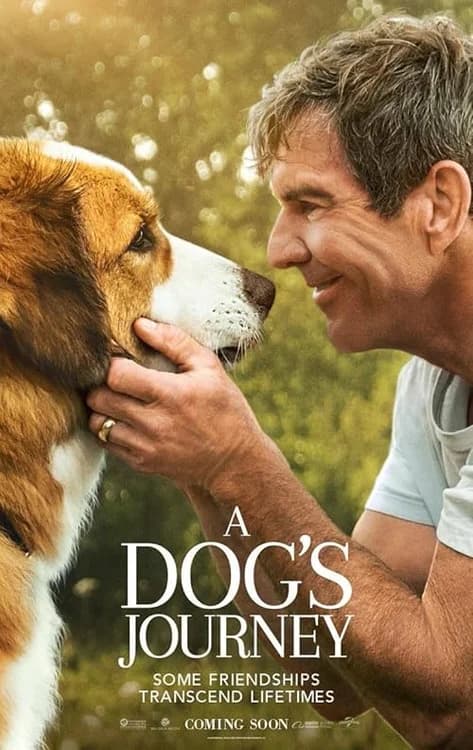 A Dog's Journey film posteri